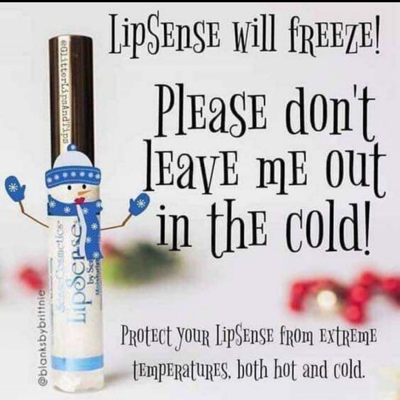 Persimmon Lipsense - Picture 9 of 9